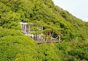 A modern building nestled among lush greenery, with a glass facade and a flat roof. - Izu Cliff House (Minamiizu)