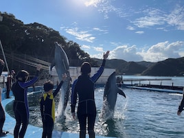 Un espectáculo de delfines con entrenadores y espectadores.