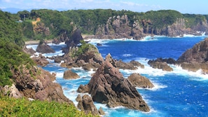 Paisagem costeira com formações rochosas e vegetação densa.