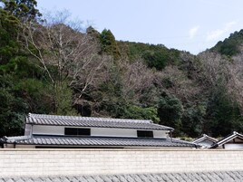 A traditional Japanese building with a tiled roof, surrounded by dense forest.