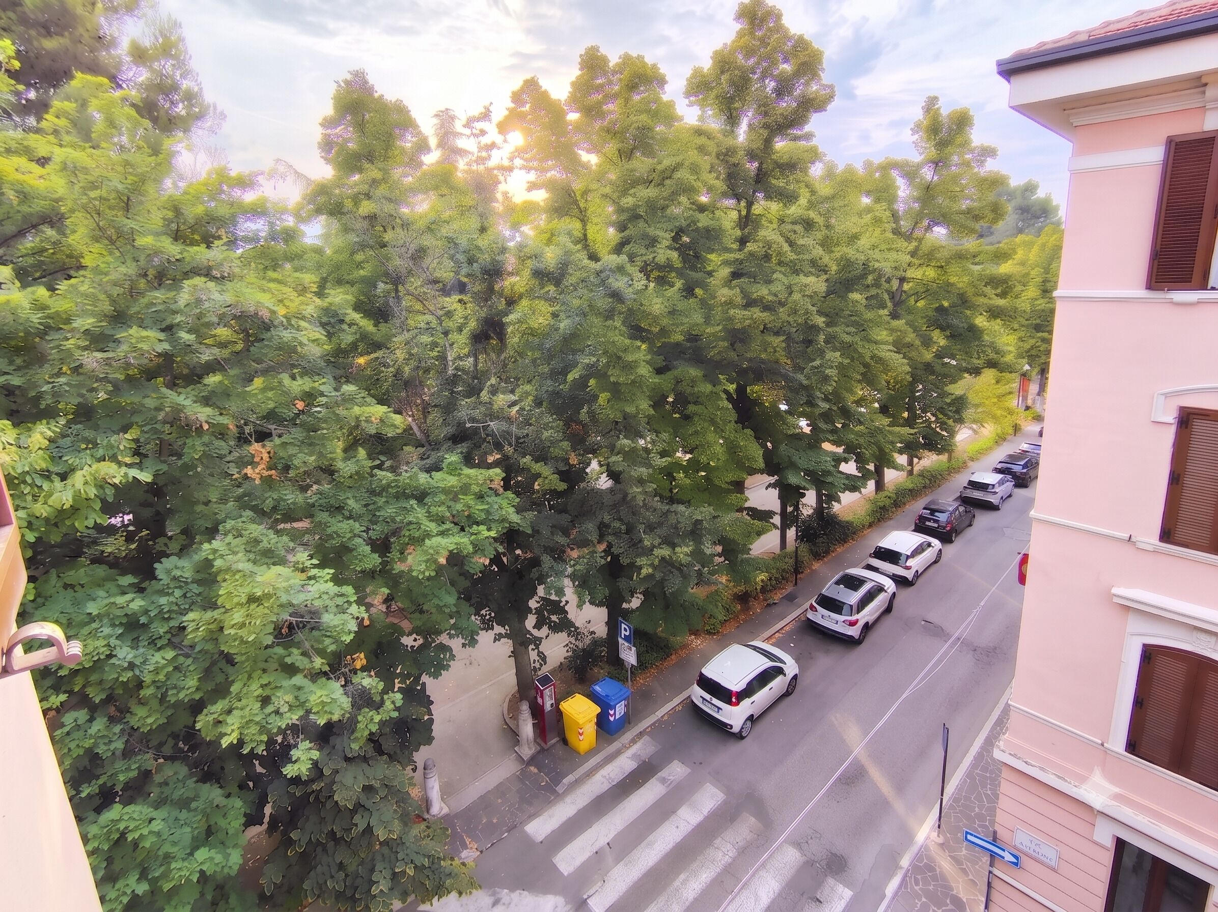 A street lined with trees and parked cars.