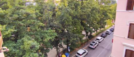 A street lined with trees and parked cars.