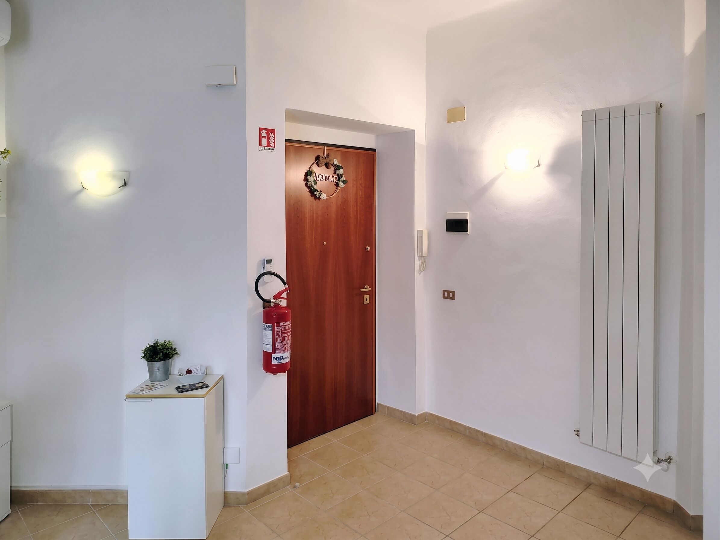 A hallway with a wooden door, a fire extinguisher, a small plant, and a radiator.