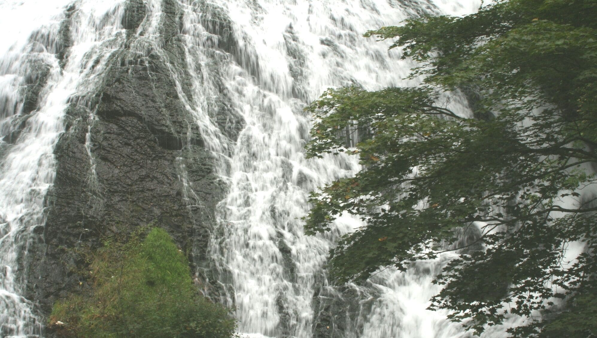 A waterfall with a rocky cliff and a tree in the foreground.