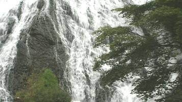A waterfall with a rocky cliff and a tree in the foreground.