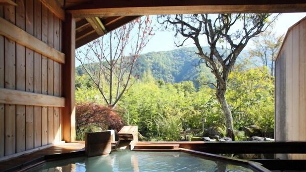 A traditional Japanese onsen with wooden architecture, a stone hot spring, and a view of a forested mountain. - Shinshu Norikura Kogen Onsen Ryokuzansou (Matsumoto)