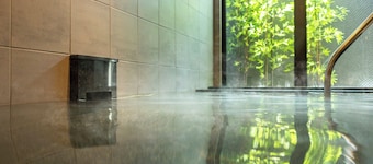 Super Hotel Tokushima Komatsushima Natural Hot Spring