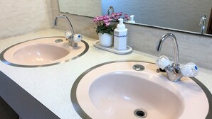 A bathroom with two sinks, a mirror, and a small potted plant.