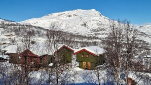 A snow-covered mountain with a clear sky. There are several buildings with red roofs in the foreground. - 2 bedroom cozy home in Tyinkrysset (Tyinkrysset)