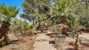Un jardín con una fuente central, rodeado de diversas plantas y árboles.
