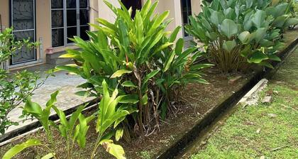 Urban Living in Kampung setting