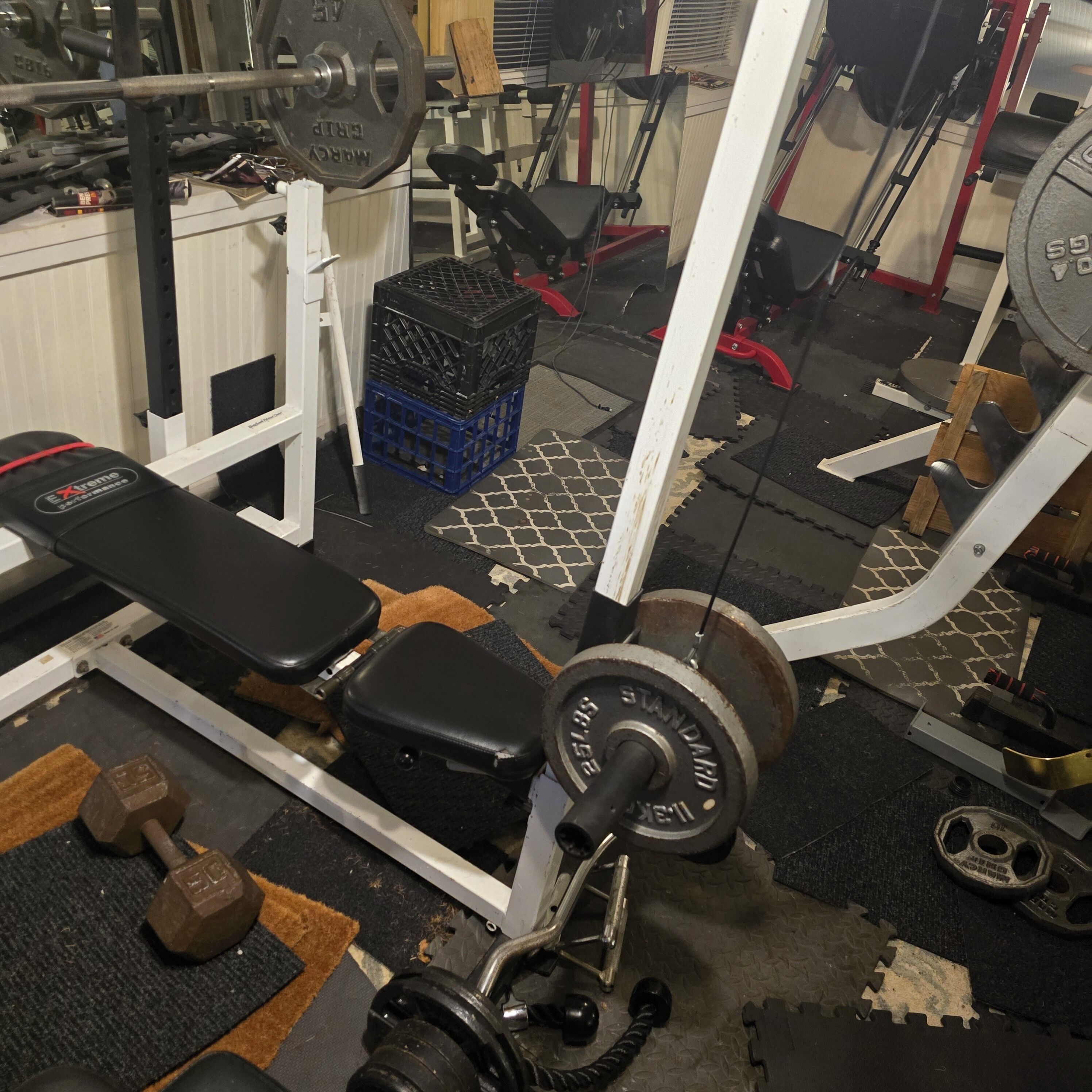Ein Fitnessstudio mit Trainingsgeräten, einer Bank und Gewichten.