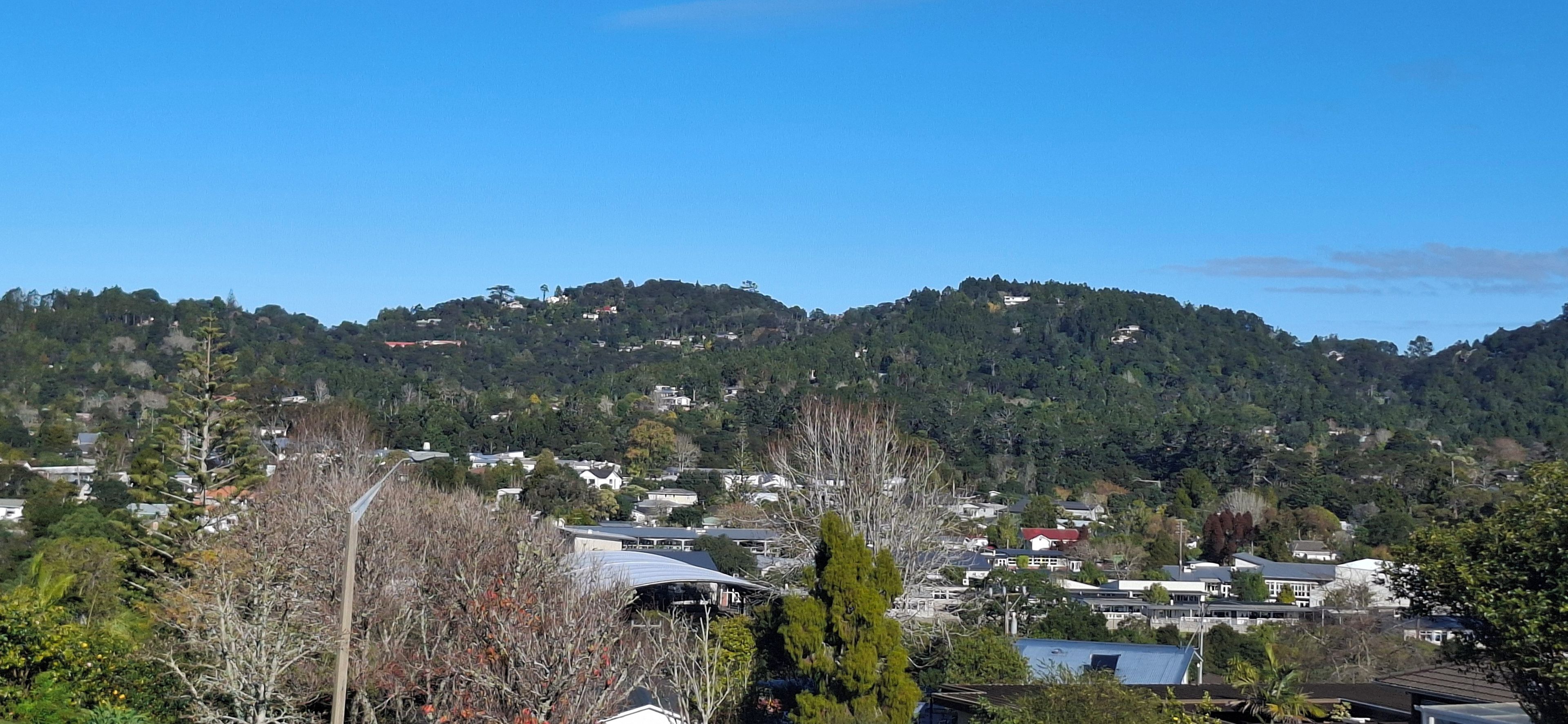 A residential area with houses on a hillside, surrounded by trees and vegetation.