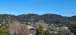 A residential area with houses on a hillside, surrounded by trees. - Sunny 3BDR Family Retreat in Leafy Glen Eden (Auckland)