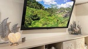 Un televisor de pantalla plana montado en la pared, mostrando un paisaje con campos en terrazas y palmeras.