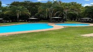 A swimming pool with a curved design, surrounded by grass and palm trees.