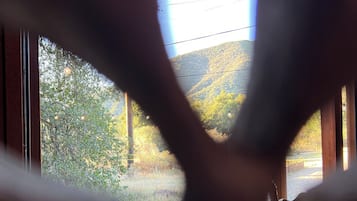 內部