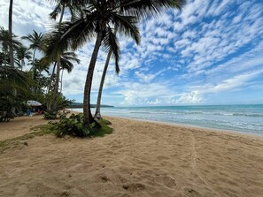 Ein Strand mit Palmen, sandigem Ufer und blauem Himmel.
