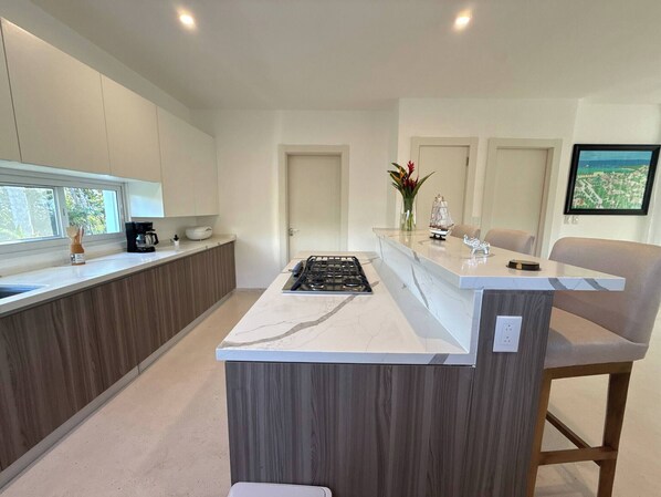 Private kitchen - Charming Villa GUGI in Palmeras de Coson (Las Terrenas)
