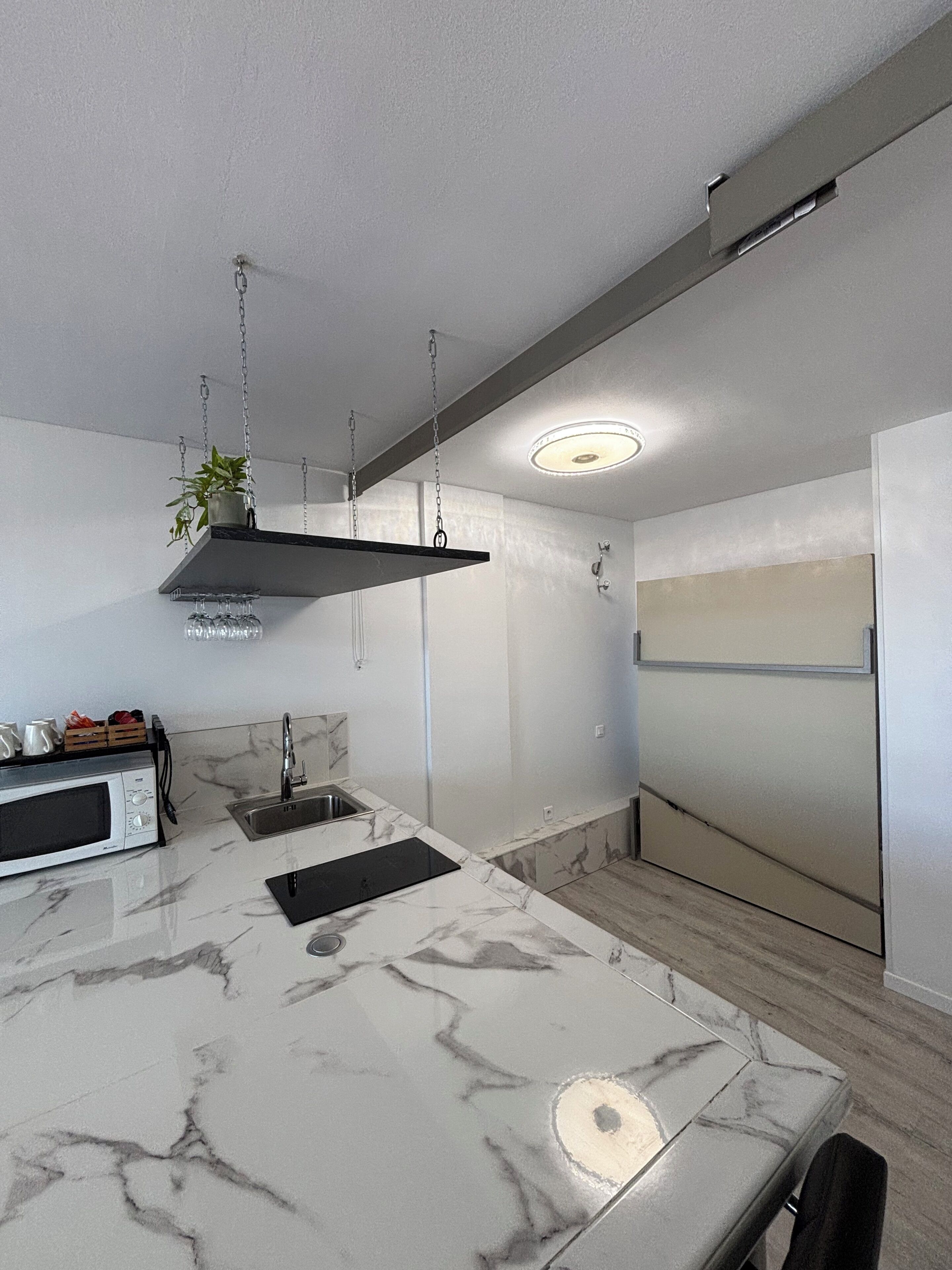 Een moderne keuken met een marmeren aanrecht, een hangplant en een ingebouwde magnetron.