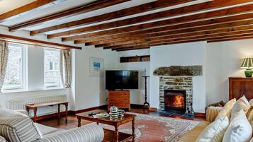 TV, fireplace