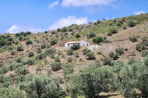 Ein weißes Gebäude mit rotem Dach auf einer Hügelside, umgeben von Olivenbäumen und spärlicher Vegetation.