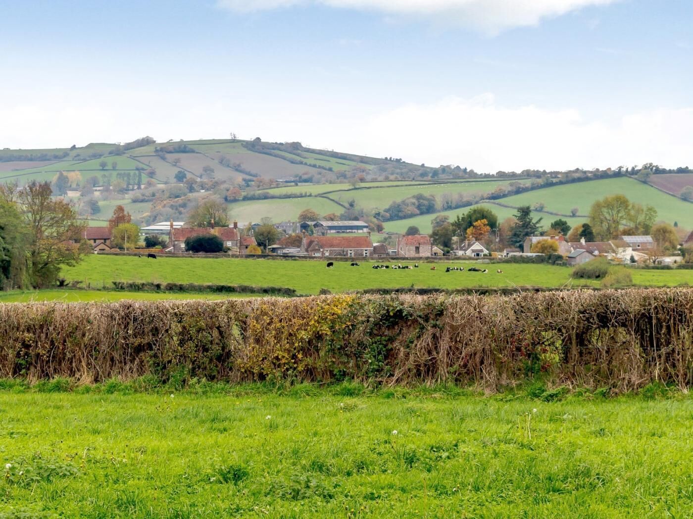 A rural landscape with rolling hills, a small village, and grazing cattle.