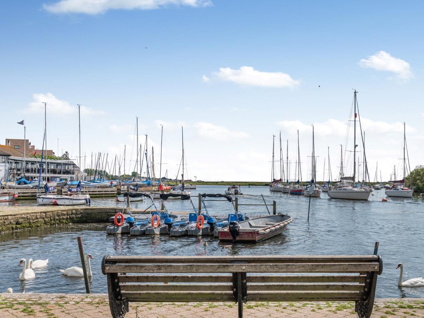 Un port de plaisance avec des bateaux amarrés, un banc au premier plan et des cygnes sur l’eau.