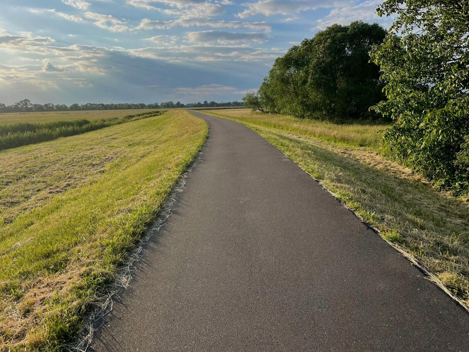 A rural road flanked by fields and trees.