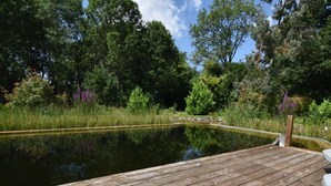 En træterrasse med en sø, omgivet af frodig vegetation og træer.