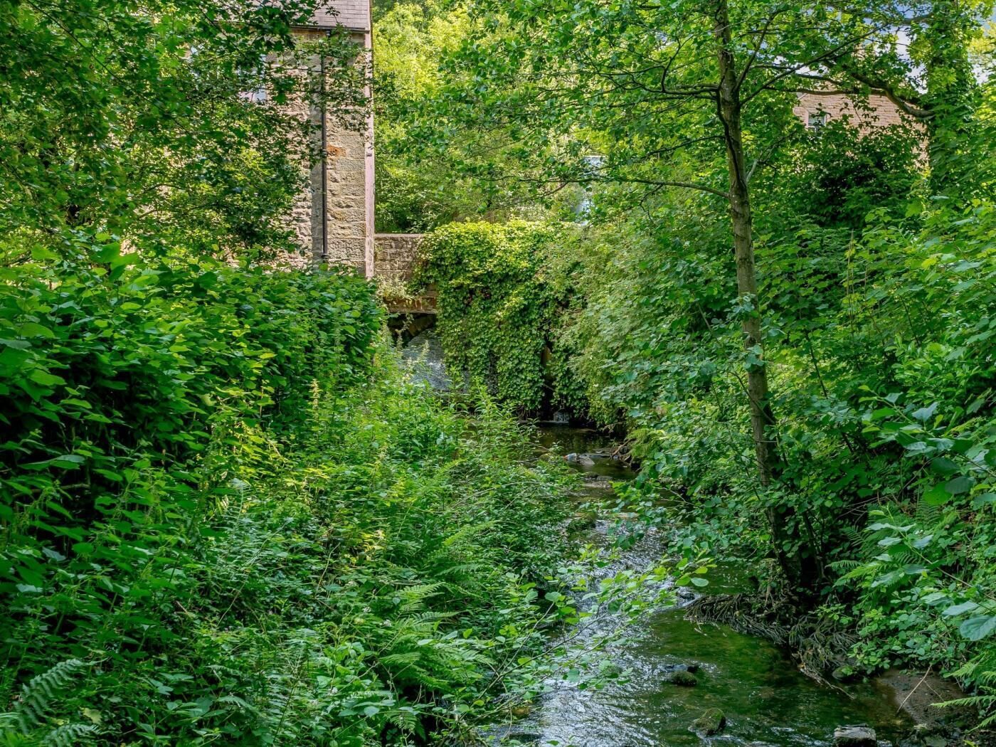 Paisagem verde exuberante com um riacho, folhagem densa e uma ponte de pedra.