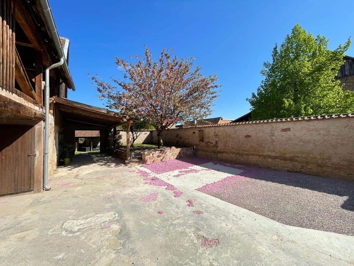 A courtyard with a tree, a building with a wooden exterior, and a stone wall.