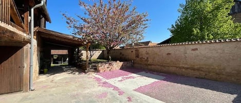 A courtyard with a tree, a building with a wooden exterior, and a stone wall.