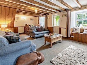 Fernseher, Kamin