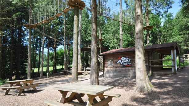 Skovområde med træborde, et overdækket ly og et skilt med teksten 'Go Ape! Tree Top Junior'.