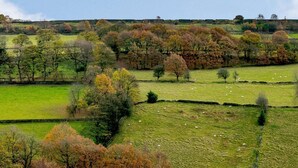 A rural landscape with fields, trees, and sheep. - 4 Bed in Holmfirth (oc-86032) (Holmfirth)