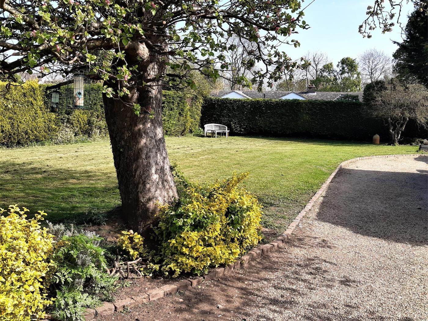A well-maintained garden with a large tree, a grassy lawn, and a hedge.