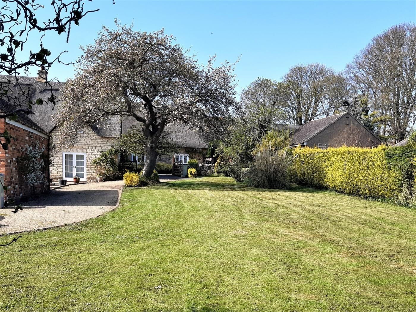 A residential property with a well-maintained lawn, a large tree, and a brick house with a white door.