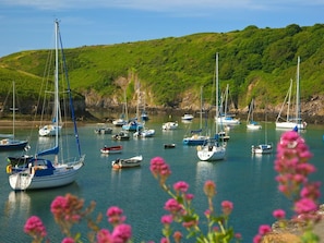 A harbor with multiple boats docked, surrounded by green hills. - 3 Bed in Haverfordwest (oc-88892) (St Davids)