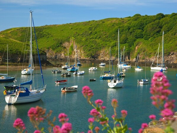 Marina - 3 Bed in Haverfordwest (oc-88892) (St Davids)
