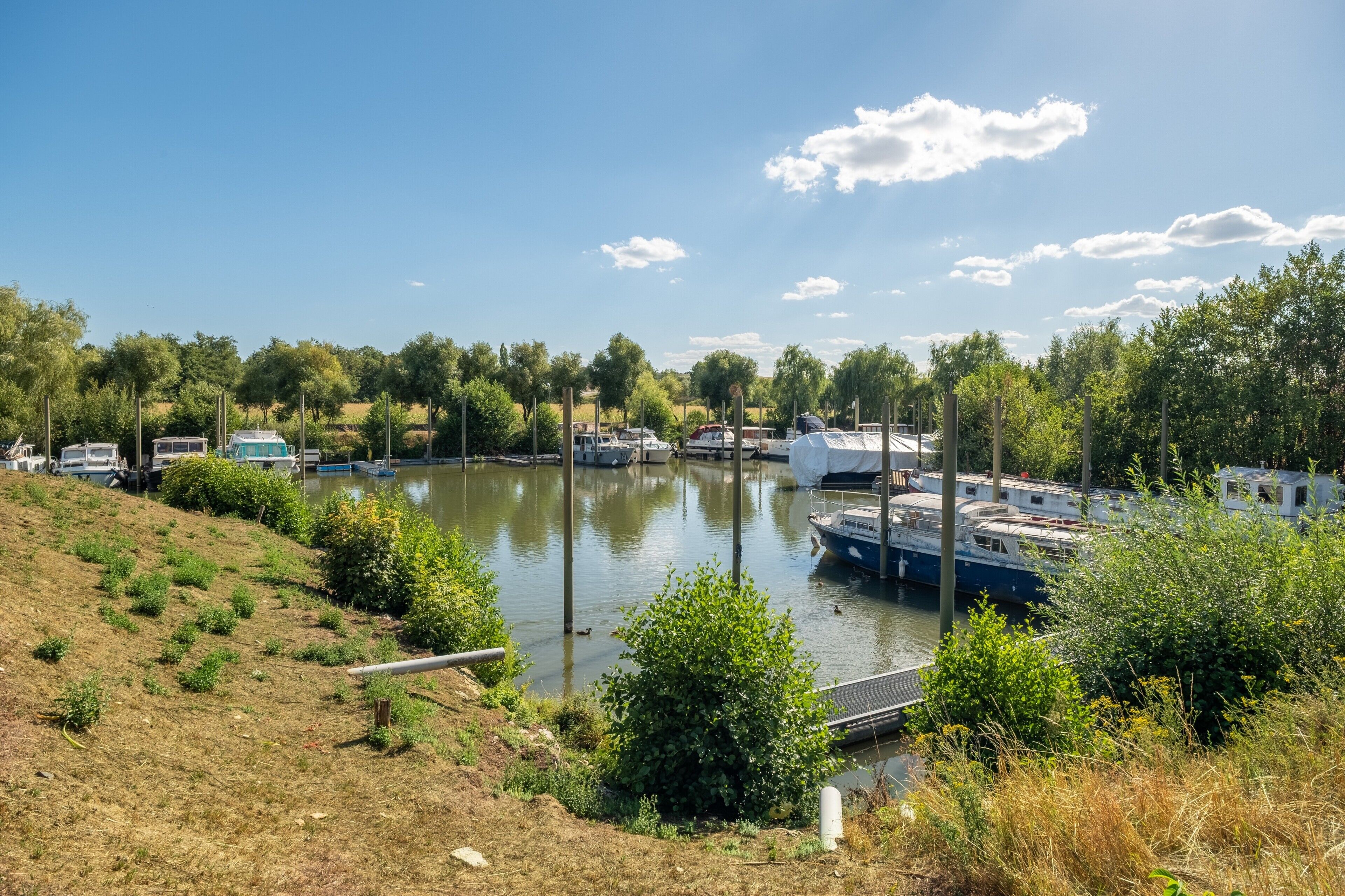 A marina with boats docked, surrounded by greenery and trees.
