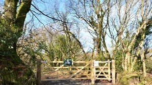A wooden gate leading to Red Moor Nature Reserve. - 1 Bed in Bodmin (oc-brilo) (Tredinnick Pits)