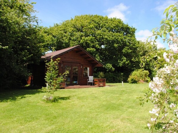 Property grounds - 1 Bed in Bodmin (oc-brilo) (Tredinnick Pits)