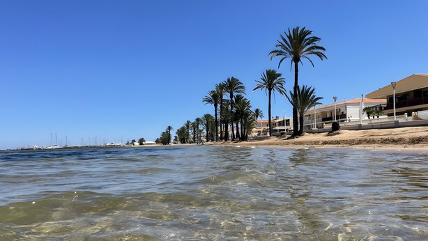 Une plage avec une eau cristalline, des palmiers et des bâtiments qui bordent le rivage.