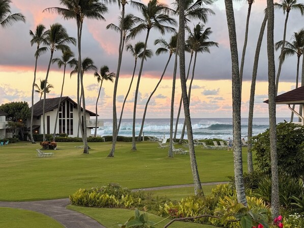 A beachfront property with a lawn, palm trees, and ocean views. - Stunning Ocean View Condo on the beach w AC, Kiahuna Plantation, Poipu Beach (Koloa)