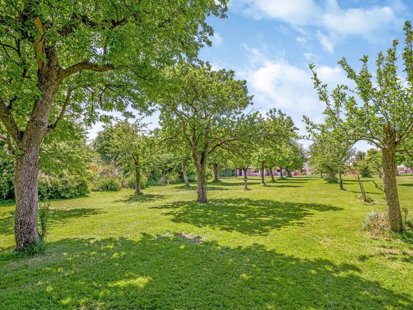 A park with trees and grass.