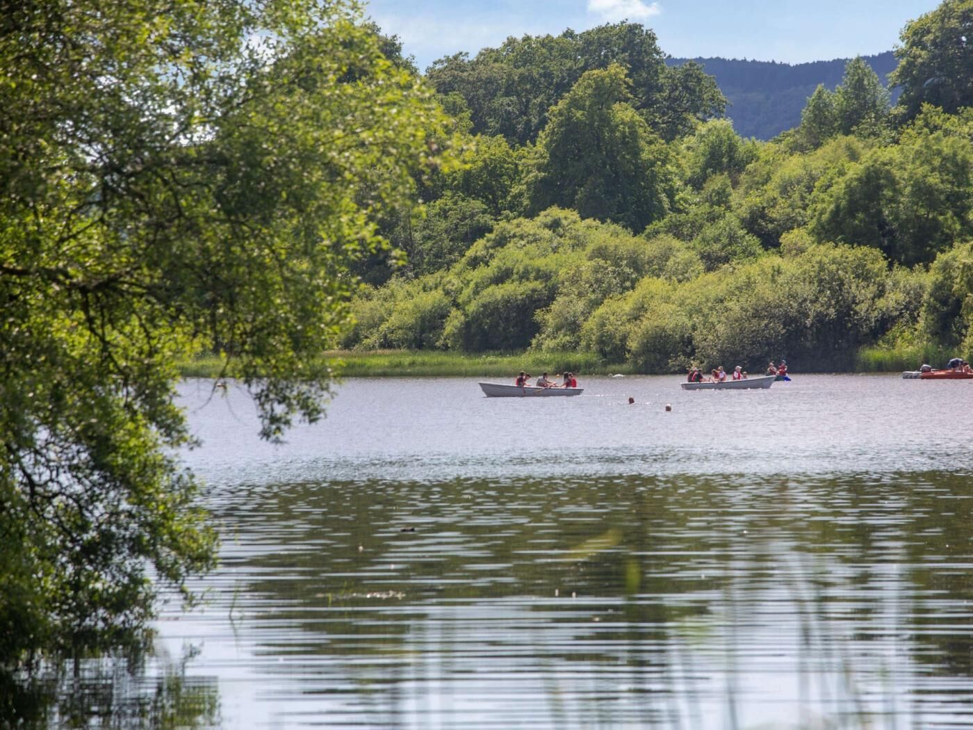 A calm lake with boats, surrounded by dense green trees.