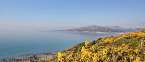 A coastal landscape with a clear view of the sea, a distant shoreline, and a hill with yellow flowers.