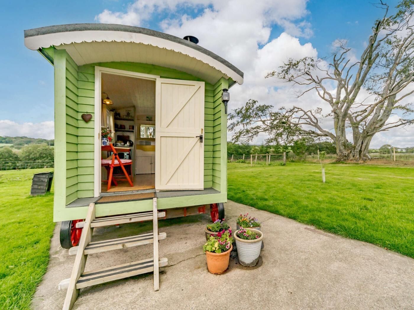 A small, green mobile home with a white door, a kitchen area visible inside, and two potted plants outside.