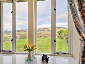 Una ventana con vista a un campo verde y un paisaje lejano.